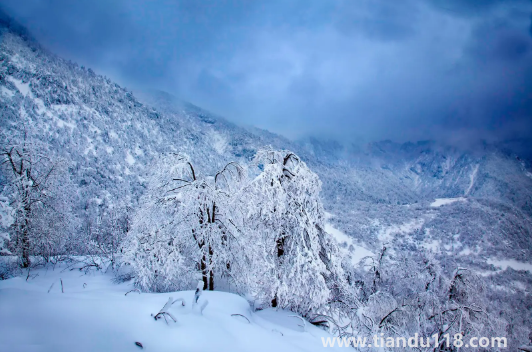 2022至2023年有特大寒潮嗎(寒潮來(lái)襲的注意事項(xiàng))(圖1) 2022至2023年有特大寒潮嗎1