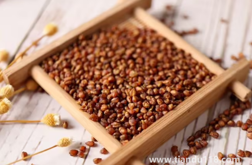 苦蕎麥怎么吃好吃又營養(yǎng)(苦蕎麥適合哪些人吃)(圖3) 苦蕎麥怎么吃好吃又營養(yǎng)3