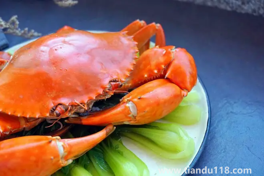 青蟹蒸之前要怎么處理（清蒸青蟹多長時間）