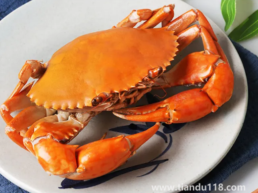 青蟹蒸之前要怎么處理(清蒸青蟹多長(zhǎng)時(shí)間)(圖2) 青蟹蒸之前要怎么處理2