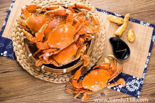 青蟹什么時候最肥最好吃(青蟹怎么做好吃又簡單)(圖3) 青蟹什么時候最肥最好吃3