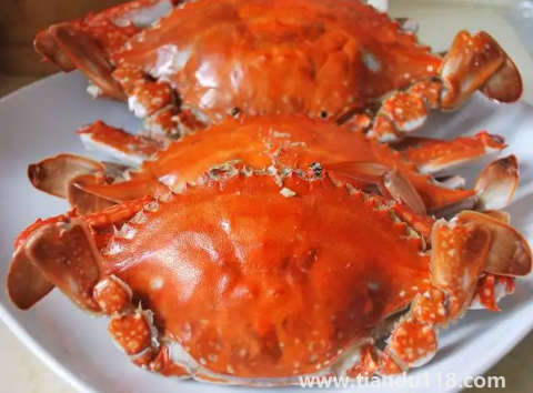 吃了螃蟹又吃了柿子怎么辦(柿子和螃蟹一起吃會(huì)怎么樣)(圖3) 吃了螃蟹又吃了柿子怎么辦3