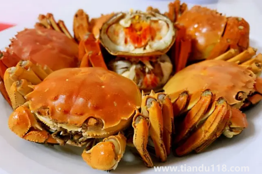 吃了螃蟹又吃了柿子怎么辦(柿子和螃蟹一起吃會(huì)怎么樣)(圖2) 吃了螃蟹又吃了柿子怎么辦2