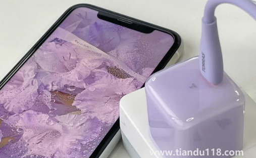 iPhone14要不要加價購買(iPhone14的30W快充頭需要自己買嗎)(圖3) iPhone14要不要加價購買3