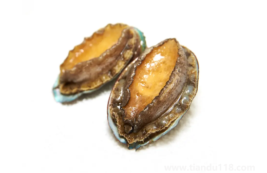 冷凍鮑魚(yú)先解凍還是先煮一下(鮑魚(yú)冷凍可以存放多久)(圖2) 冷凍鮑魚(yú)先解凍還是先煮一下2