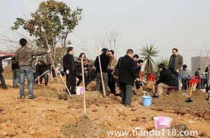 霜降以后還能種樹(shù)嗎(霜降后果樹(shù)能栽活嗎)(圖3) 霜降以后還能種樹(shù)嗎3