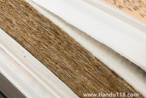 椰棕會(huì)不會(huì)生蟲(chóng)子(給孩子買(mǎi)硬棕墊要不要配一層乳膠)(圖2) 椰棕會(huì)不會(huì)生蟲(chóng)子2