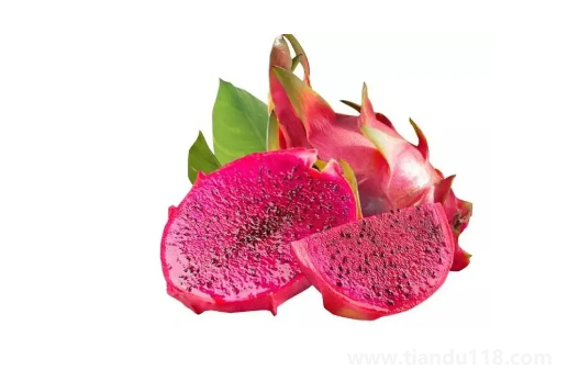 火龍果加熱后會(huì)變色嗎(火龍果怎么吃好)(圖3) 火龍果加熱后會(huì)變色嗎3