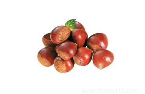 吃板栗可以補(bǔ)腎嗎(吃板栗怎么補(bǔ)腎效果最好)(圖3) 吃板栗可以補(bǔ)腎嗎3