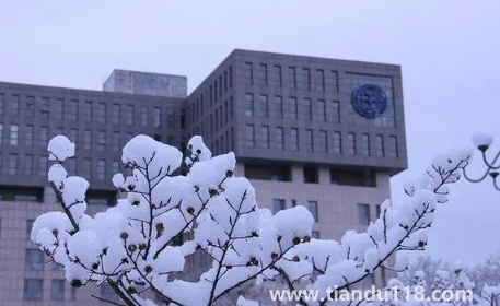 11月去北京玩五天是固定一個(gè)酒店好嗎(在北京旅游五天住在同一個(gè)酒店方便嗎)(圖1) 11月去北京玩五天是固定一個(gè)酒店好嗎1