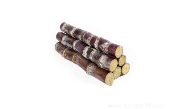 甘蔗哪頭比較甜(甘蔗不甜怎么處理)(圖2) 甘蔗哪頭比較甜2