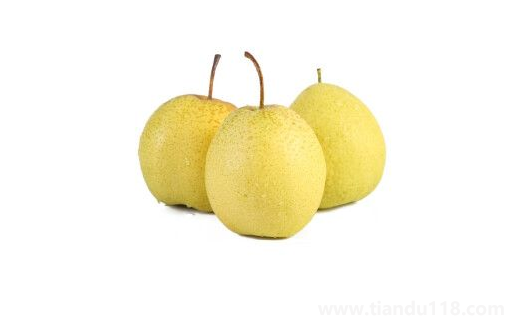 雪花梨含糖量高嗎(雪花梨不適合什么人吃)(圖3) 雪花梨含糖量高嗎3