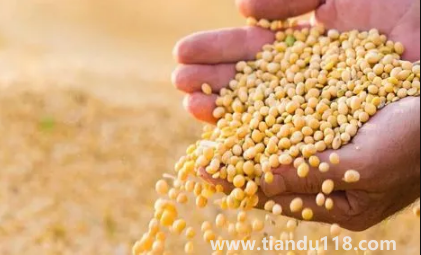 大豆被和蠶絲被哪個(gè)適合孩子（大豆纖維被和蠶絲各自有什么優(yōu)點(diǎn)）