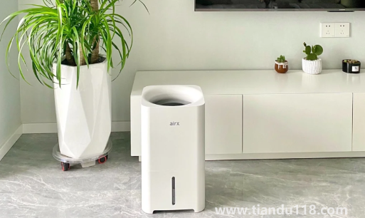 加濕器uv殺菌有用嗎(紫外線消毒燈白天可以用嗎)(圖2) 加濕器uv殺菌有用嗎2