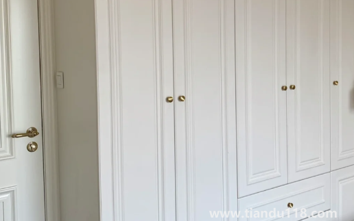 生態(tài)板做柜門會(huì)不會(huì)容易變形(衣柜門尺寸標(biāo)準(zhǔn)尺寸)(圖3) 生態(tài)板做柜門會(huì)不會(huì)容易變形3