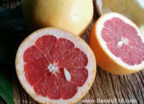 葡萄柚和紅心柚哪個(gè)好吃(怎么快速辨別葡萄柚和紅心柚)(圖3) 葡萄柚和紅心柚哪個(gè)好吃3