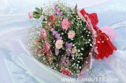 網(wǎng)上買的鮮花回來怎么泡好(網(wǎng)購鮮花為什么要醒花)(圖3) 網(wǎng)上買的鮮花回來怎么泡好3