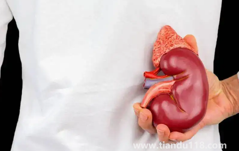 腎結(jié)石3mm需要治療嗎（腎結(jié)石3mm是多久形成的）