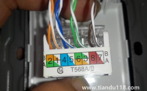 裝修時(shí)墻里埋光纖還是網(wǎng)線(一根進(jìn)戶網(wǎng)線怎么分到各房間)(圖1) 裝修時(shí)墻里埋光纖還是網(wǎng)線1