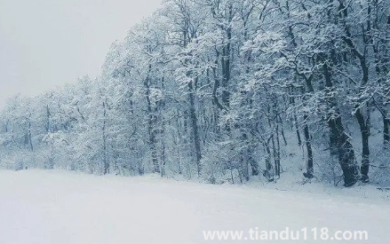 今年元旦北京會(huì)下雪嗎2023(元旦去北京穿什么合適)(圖1) 今年元旦北京會(huì)下雪嗎20231