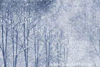 今年元旦北京會(huì)下雪嗎2023(元旦去北京穿什么合適)(圖2) 今年元旦北京會(huì)下雪嗎20232