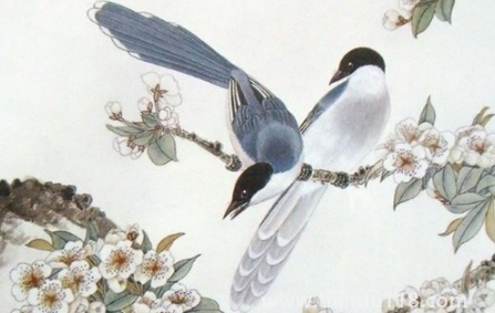 2023年生肖馬運勢怎么樣(2023年運勢不好怎么辦)(圖3) 2023年生肖馬運勢怎么樣3