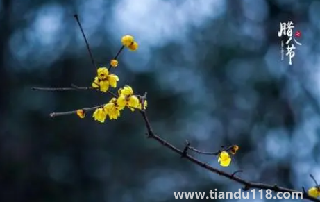 臘八節(jié)燒紙好不好（臘八燒紙有什么好吃）