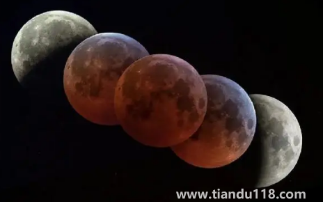 11月8日月全食每個地方都能見到嗎(月全食下一次何時出現)(圖2) 11月8日月全食每個地方都能見到嗎2