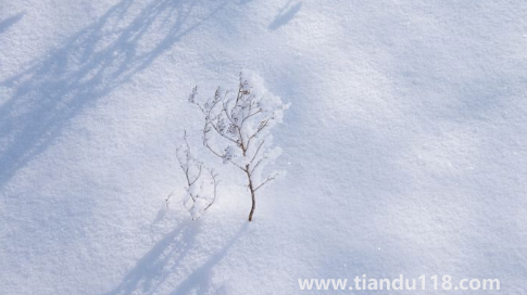 2022立冬過(guò)后為什么還這么熱(立冬算不算進(jìn)入冬天了)(圖3) 2022立冬過(guò)后為什么還這么熱3