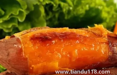 煙薯是轉(zhuǎn)基因紅薯嗎(什么是煙薯)(圖2) 煙薯是轉(zhuǎn)基因紅薯嗎2