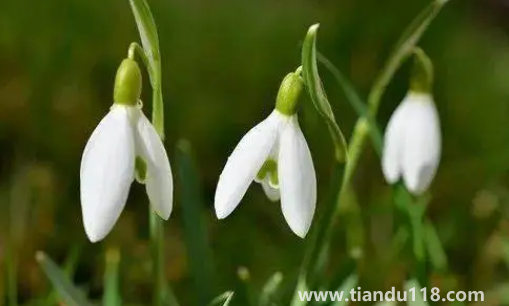 2022年閏二月冷不冷(閏月的歷史由來是怎么樣的)(圖1) 2022年閏二月冷不冷1