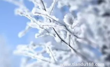 2022年小雪節(jié)氣艾灸有什么好處(二十四節(jié)氣小雪風(fēng)俗)(圖3) 2022年小雪節(jié)氣艾灸有什么好處3