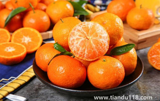 砂糖橘和橙子哪個vc含量高一些（砂糖橘和橙子可以一起吃嗎）