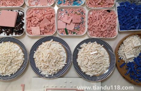 最稀有的樂(lè)高零件有哪些（樂(lè)高積木多余零件怎么利用）