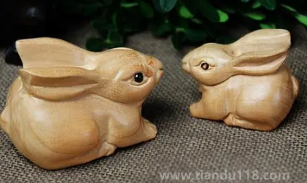 家里放置兔子影響主人運氣嗎（兔子在風水上有何寓意）