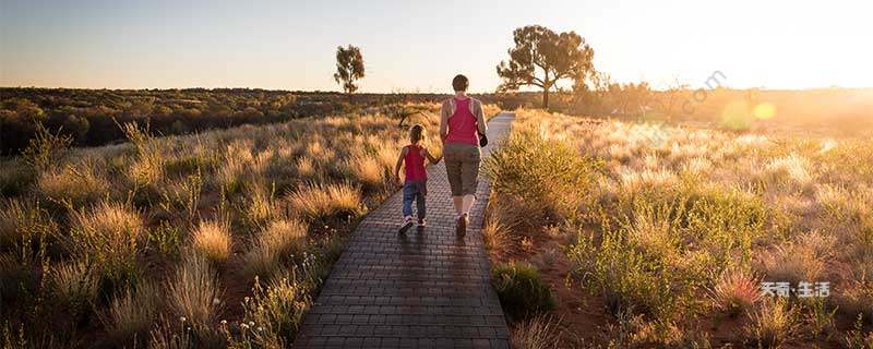 綠色出行的方式有哪些 什么是綠色出行(圖1) 綠色出行的方式有哪些