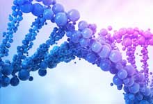 組成多聚核苷酸的骨架成分是 組成多聚核苷酸的骨架成分是什么